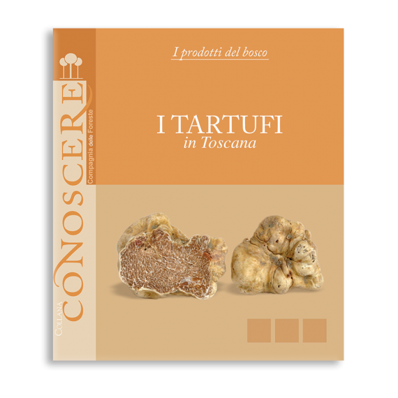 I tartufi in Toscana