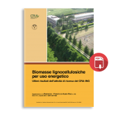 Biomasse lignocellulosiche per uso energetico