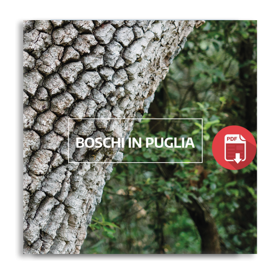 Boschi in Puglia - 2018