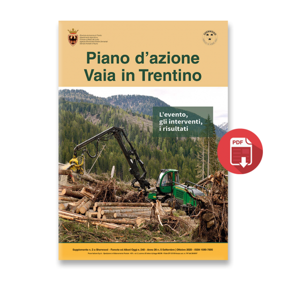 Piano d’azione Vaia in Trentino - l’evento, gli interventi, i risultati