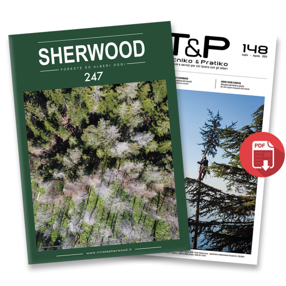 Sherwood - Foreste ed Alberi Oggi n. 247 - Tecniko & Pratico n. 148