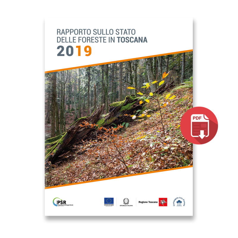 Rapporto sullo stato delle Foreste in Toscana (RaFT) 2019