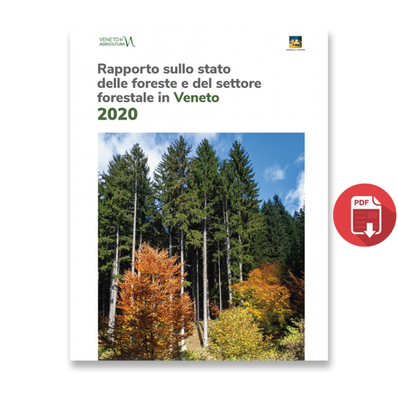 Rapporto sullo stato delle foreste e del settore forestale in Veneto (RaFV) 2020