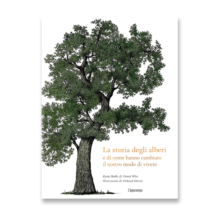 La storia degli alberi