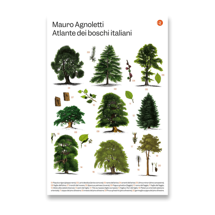 Atlante dei boschi italiani