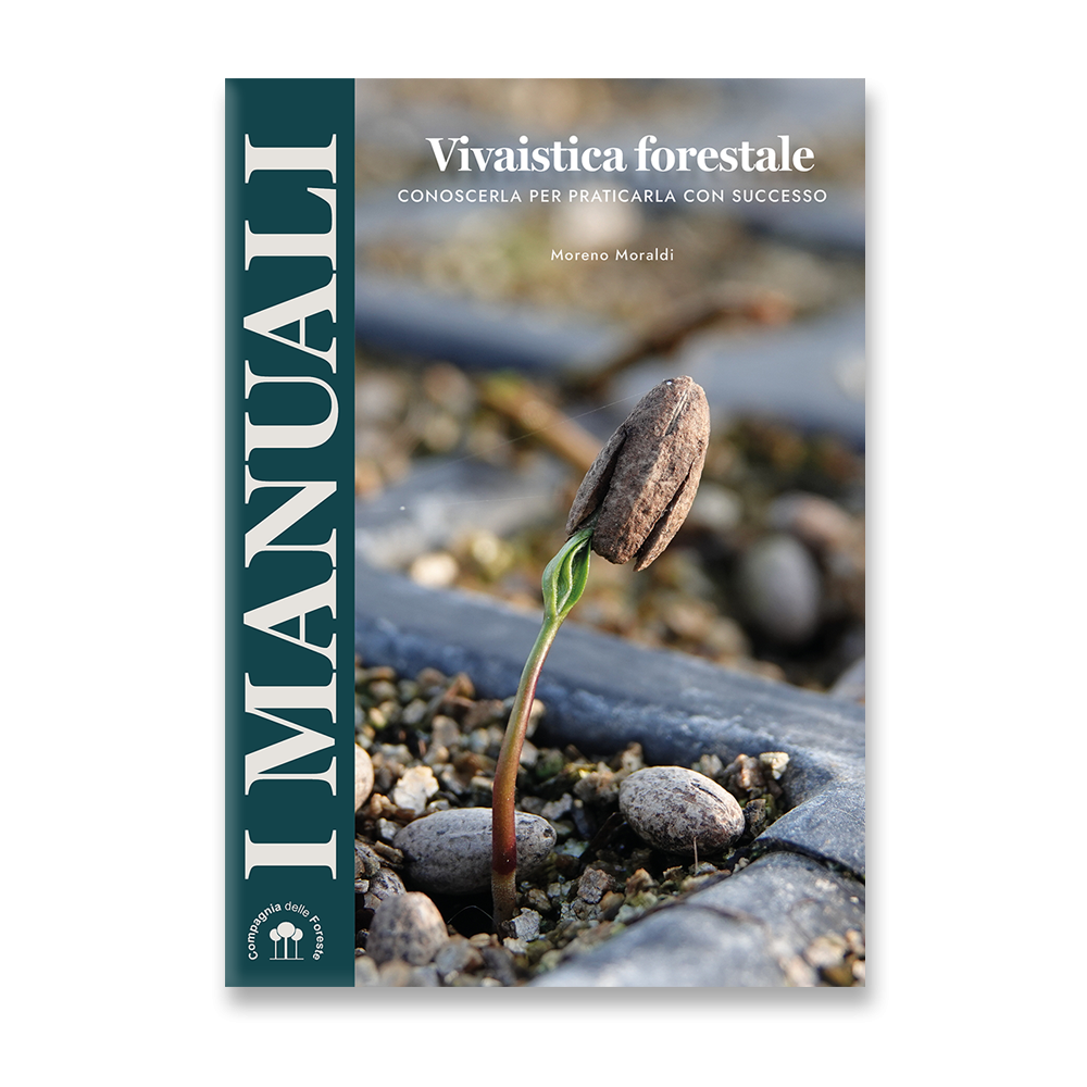 Vivaistica forestale - Ecoalleco