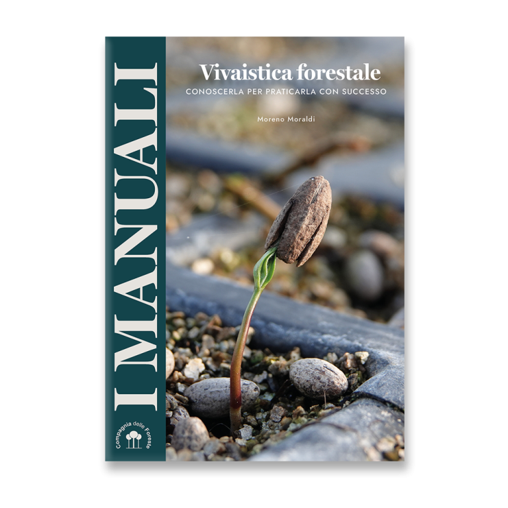 Vivaistica forestale - Ecoalleco
