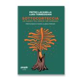 SOTTOCORTECCIA