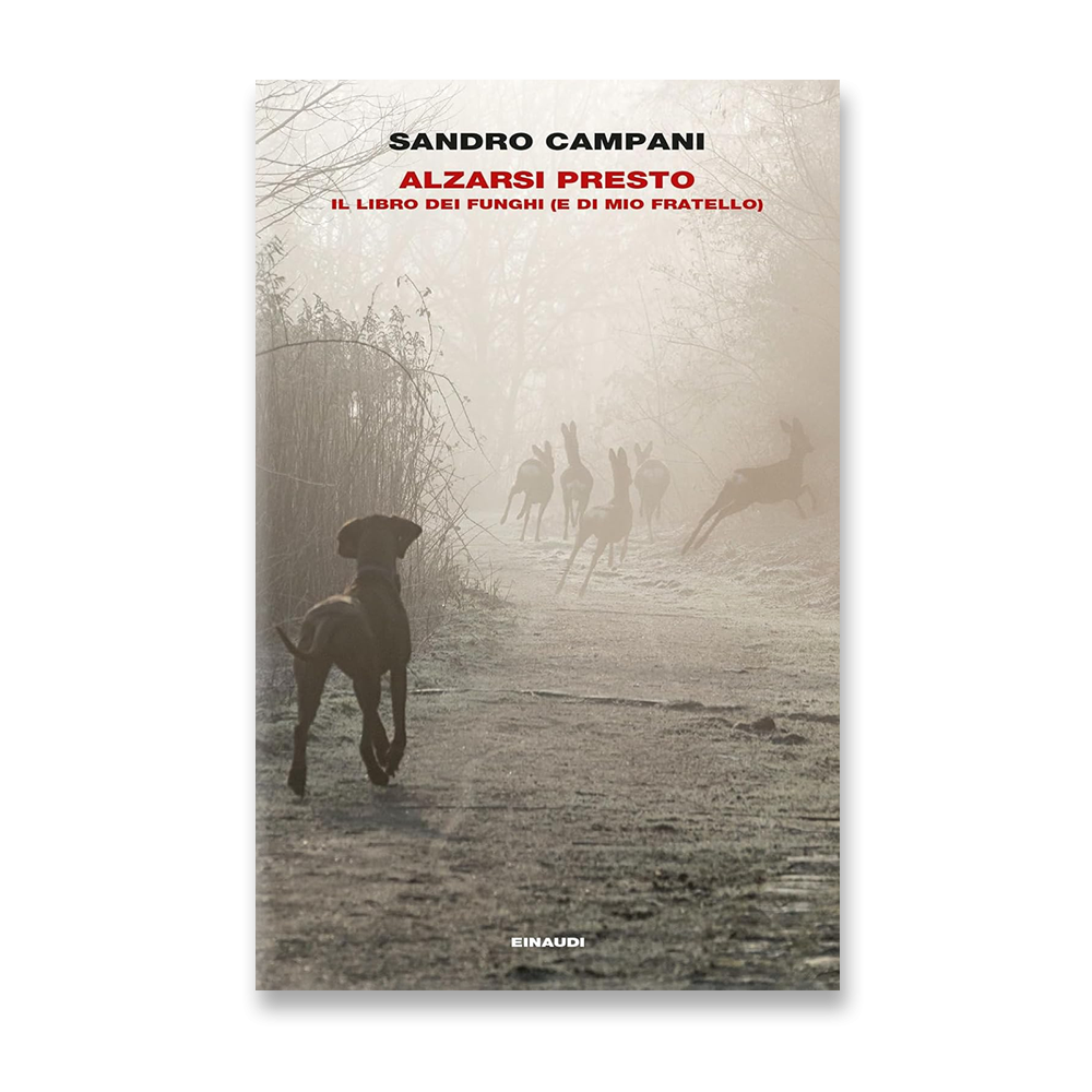 Alzarsi presto