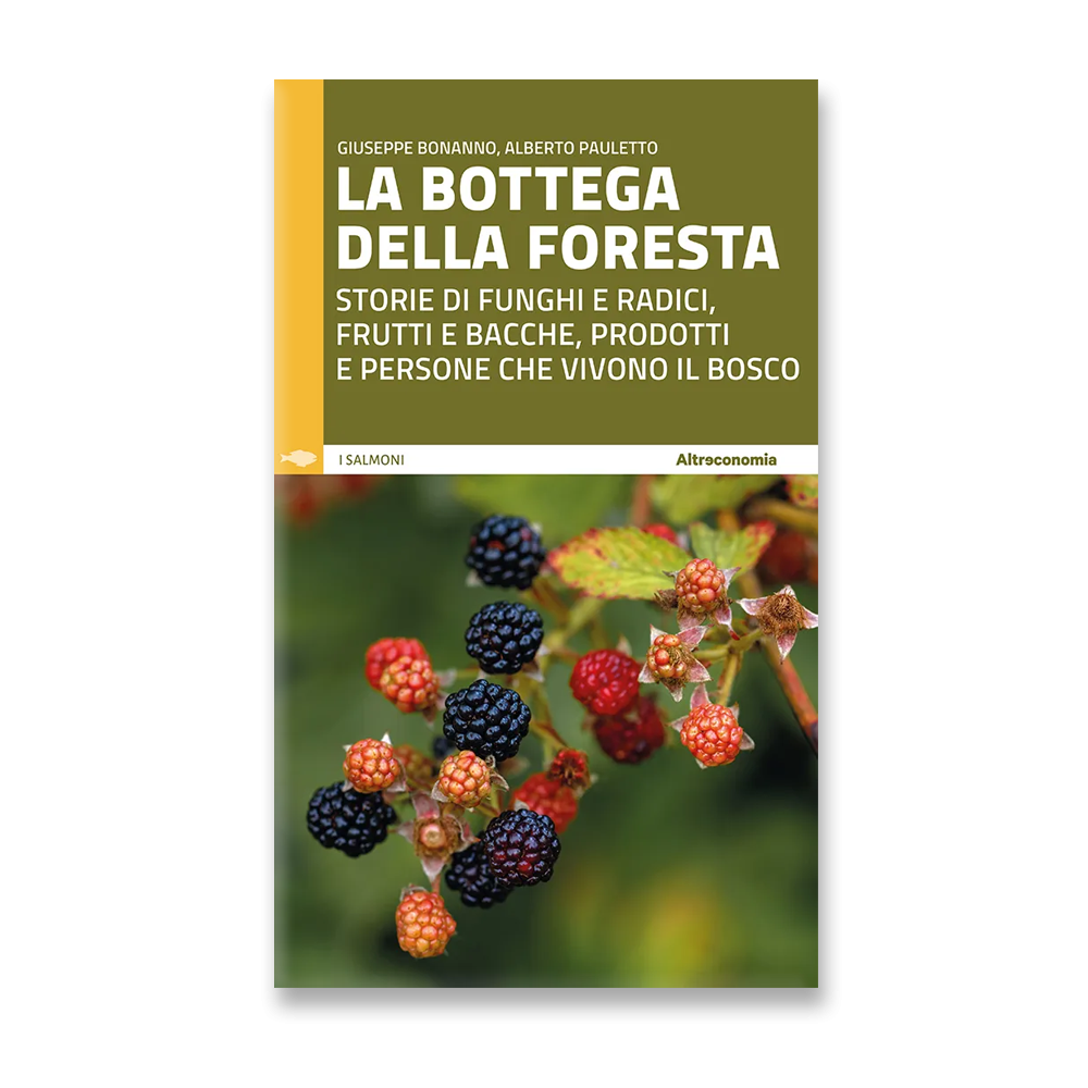 La bottega della foresta