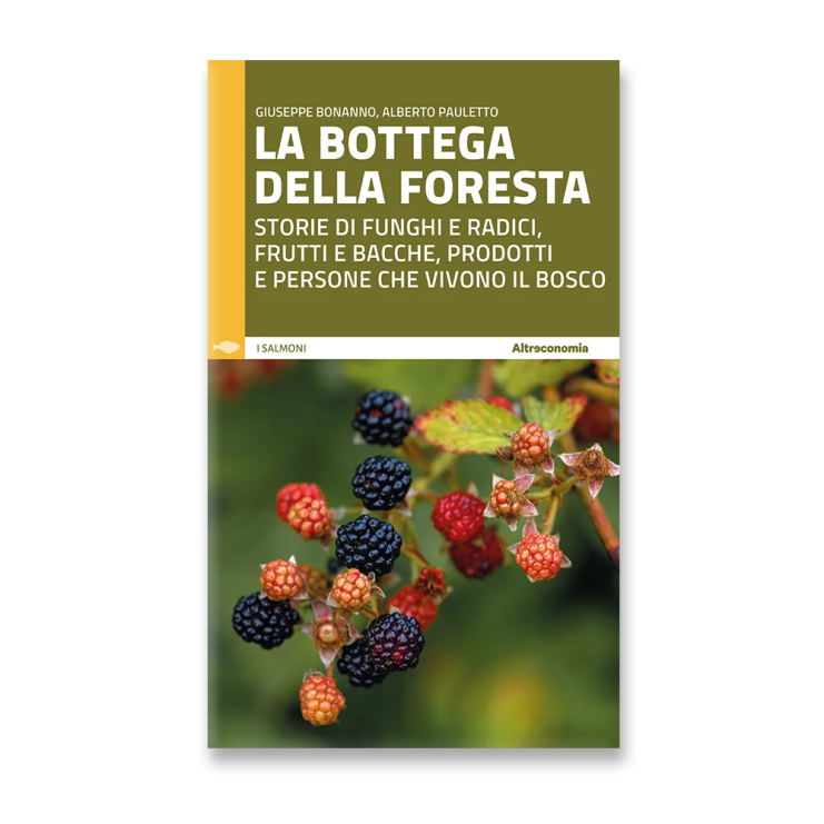 La bottega della foresta