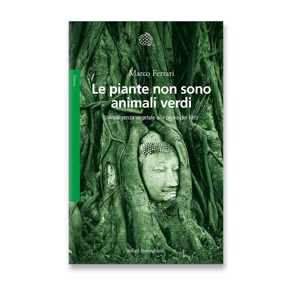 Le piante non sono animali verdi - ECOALLECO